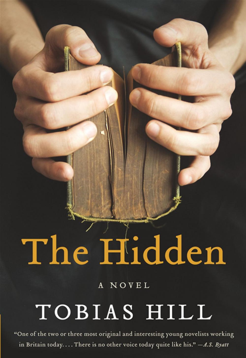 Big bigCover of The Hidden