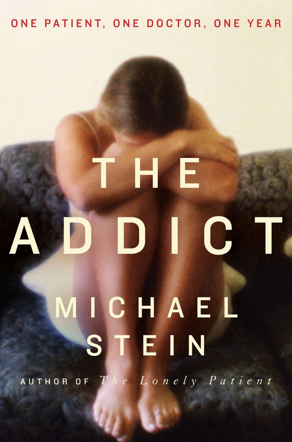 Big bigCover of The Addict