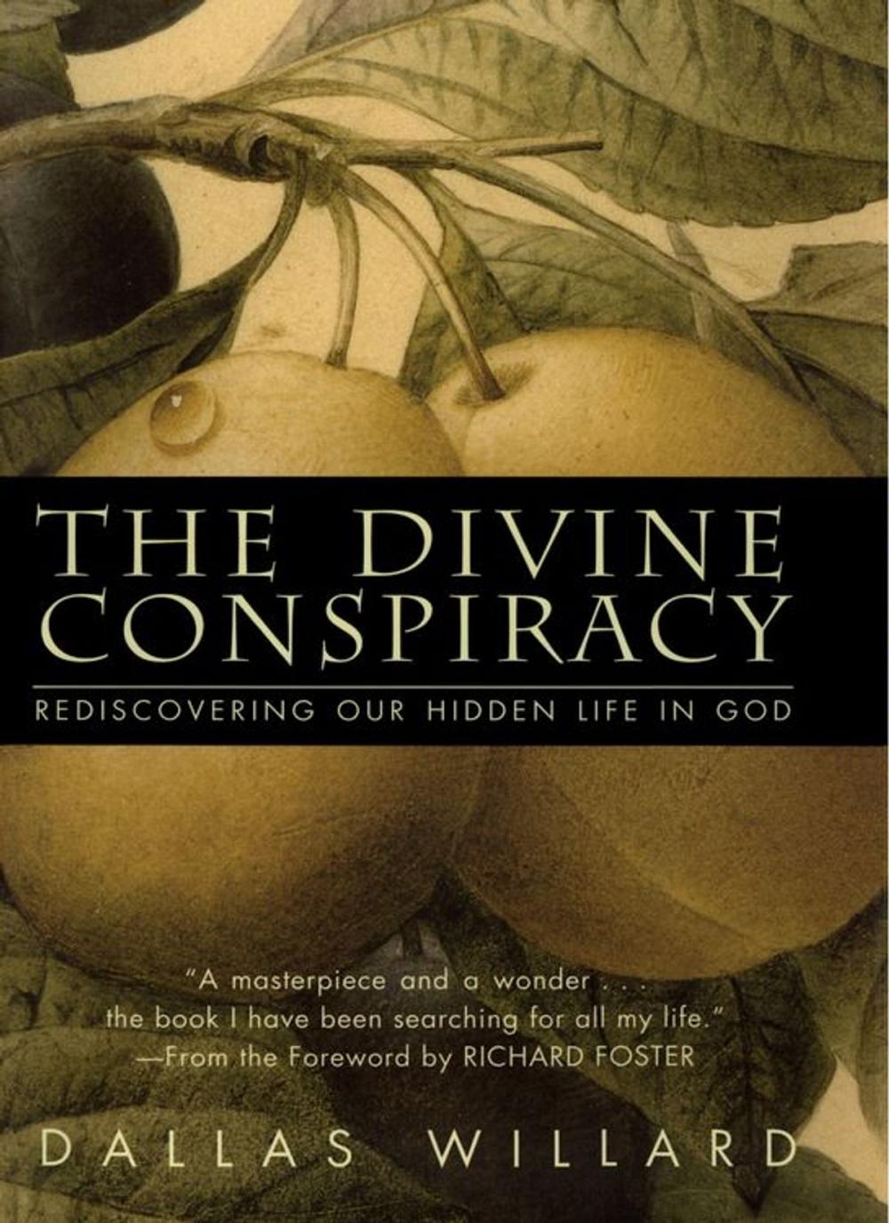 Big bigCover of The Divine Conspiracy