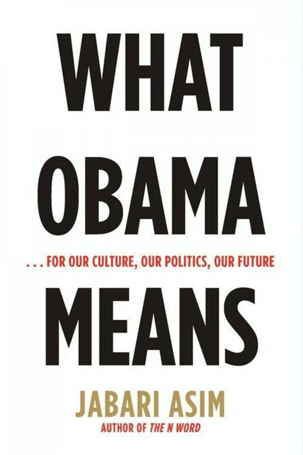 Big bigCover of What Obama Means