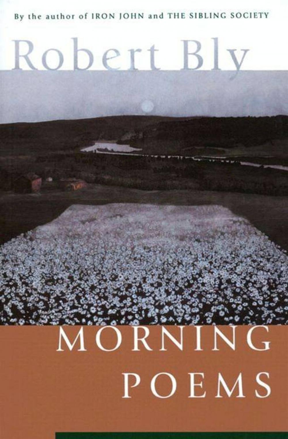 Big bigCover of Morning Poems