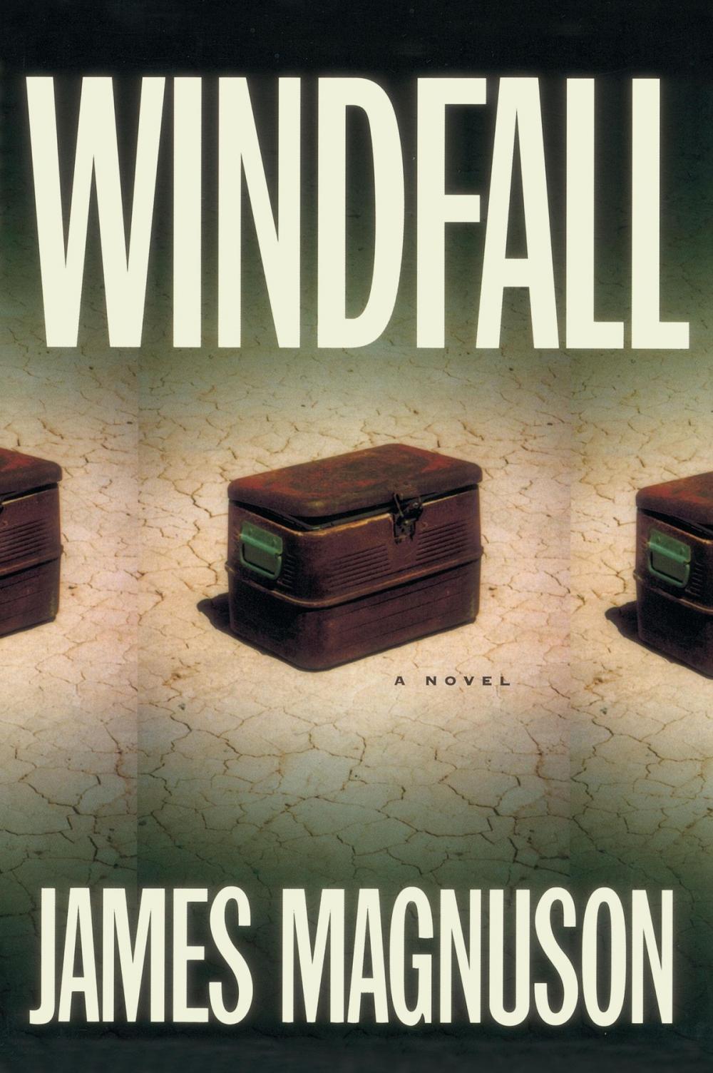 Big bigCover of Windfall