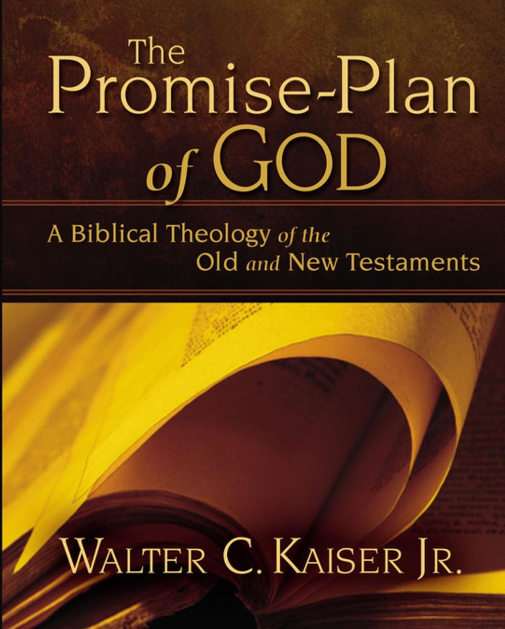 Big bigCover of The Promise-Plan of God