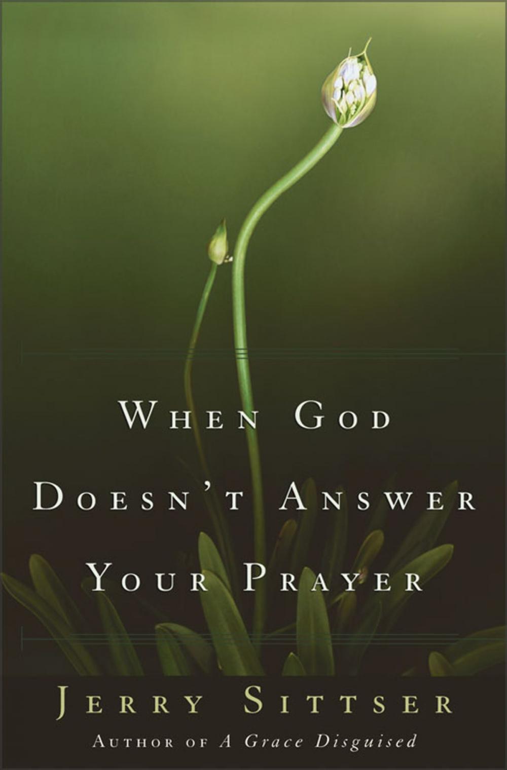 Big bigCover of When God Doesn't Answer Your Prayer