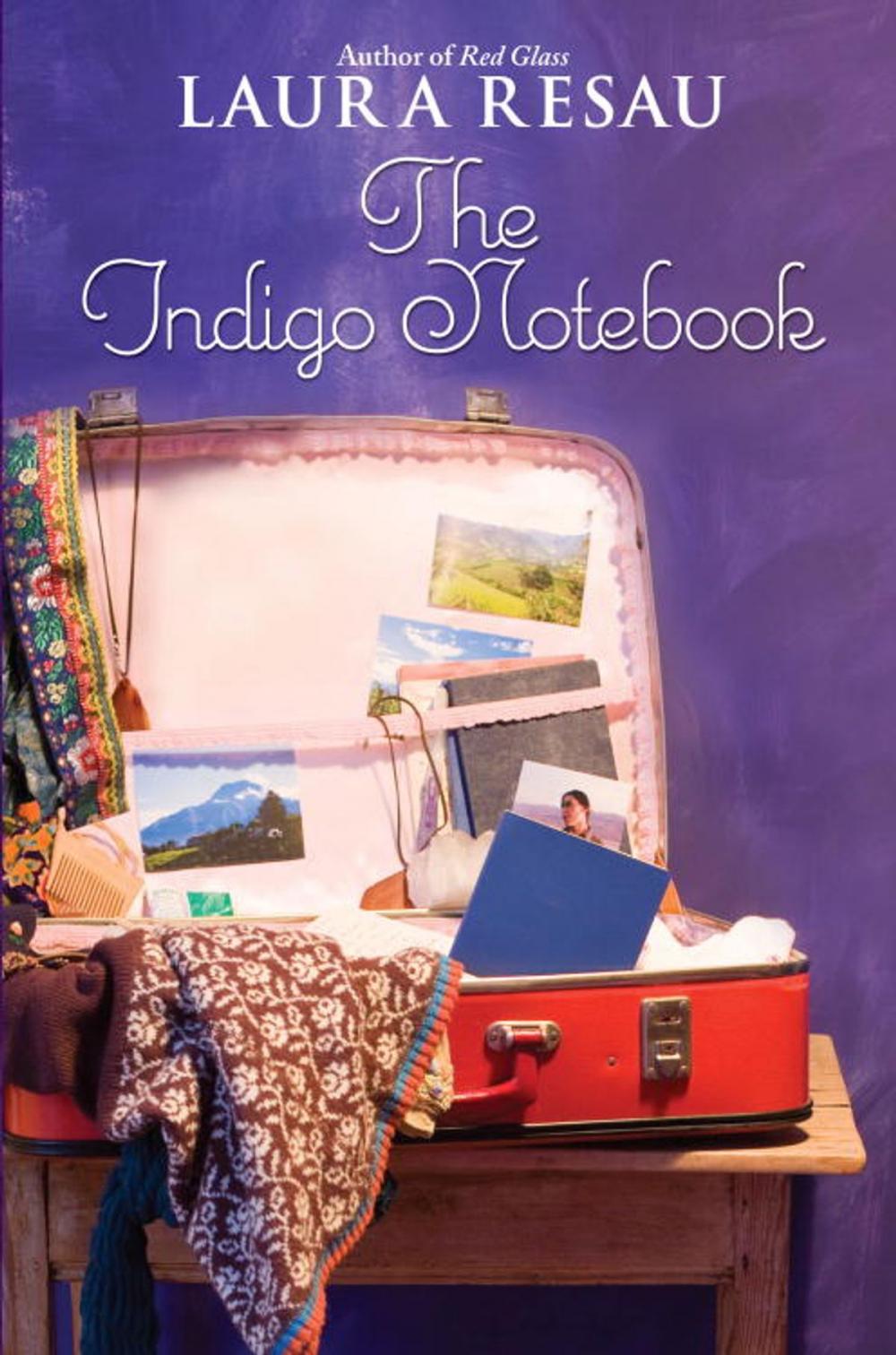 Big bigCover of The Indigo Notebook