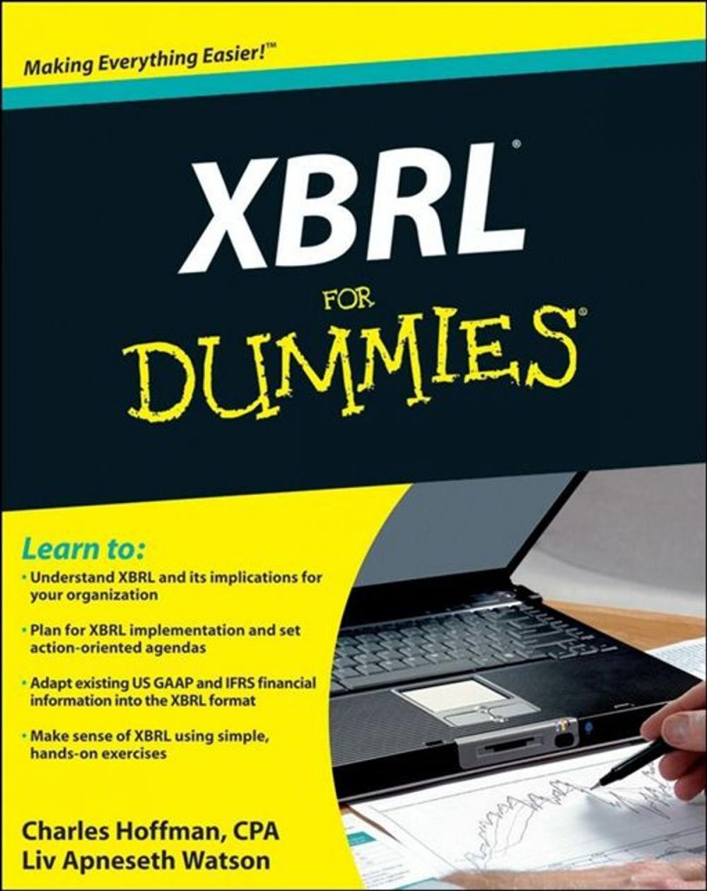 Big bigCover of XBRL For Dummies