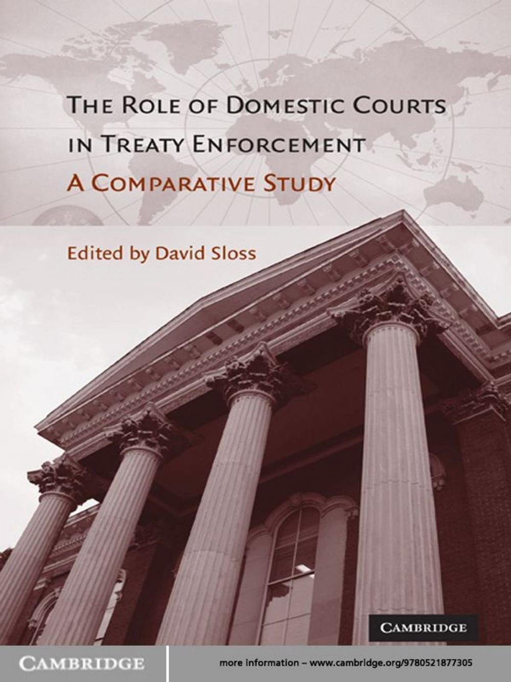 Big bigCover of The Role of Domestic Courts in Treaty Enforcement