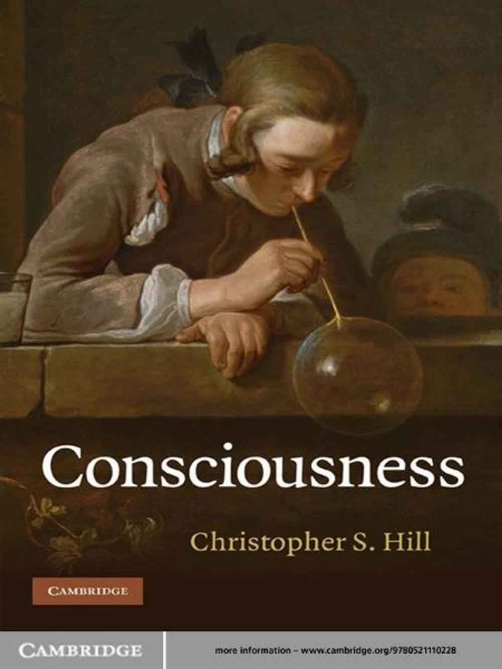 Big bigCover of Consciousness