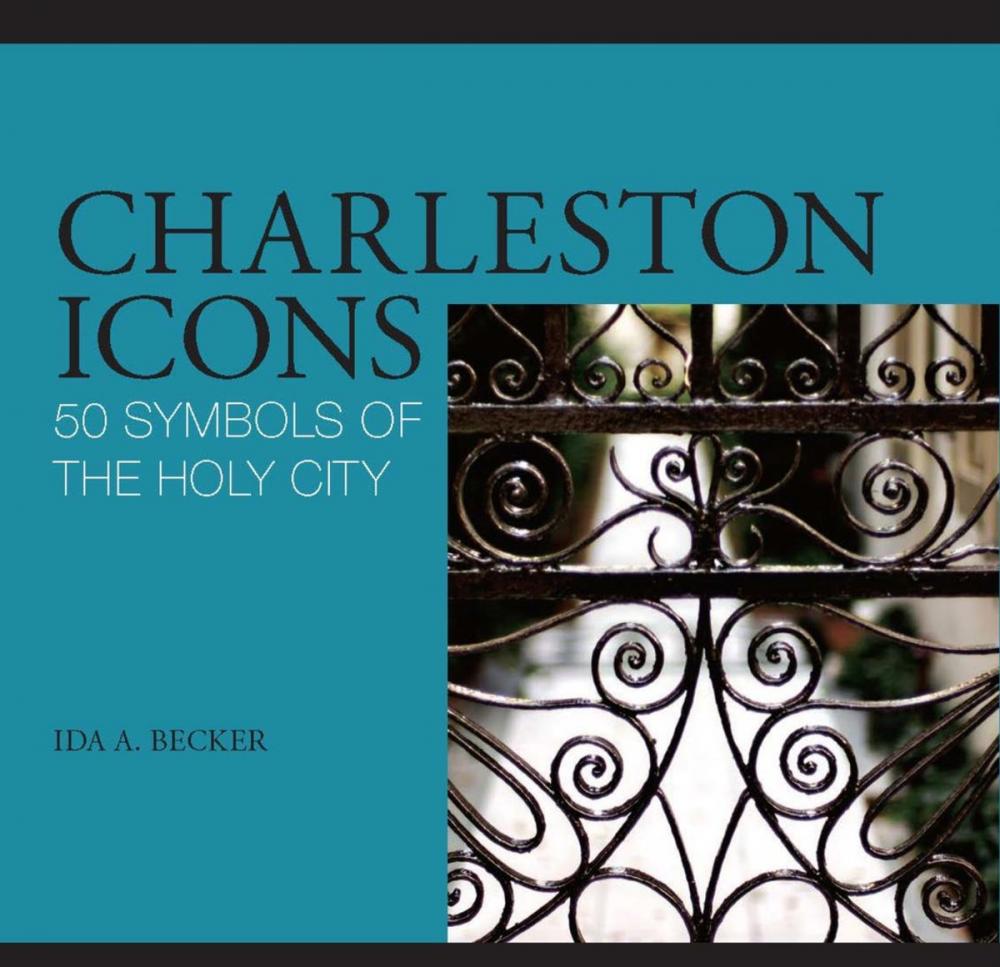 Big bigCover of Charleston Icons