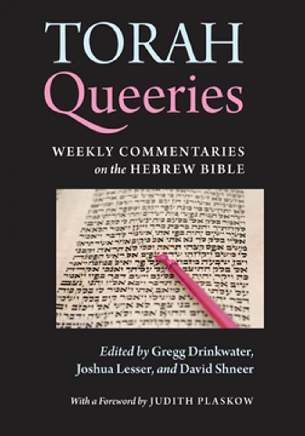 Big bigCover of Torah Queeries