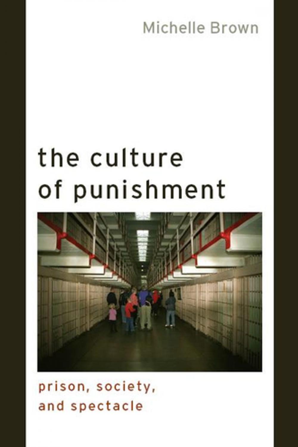 Big bigCover of The Culture of Punishment