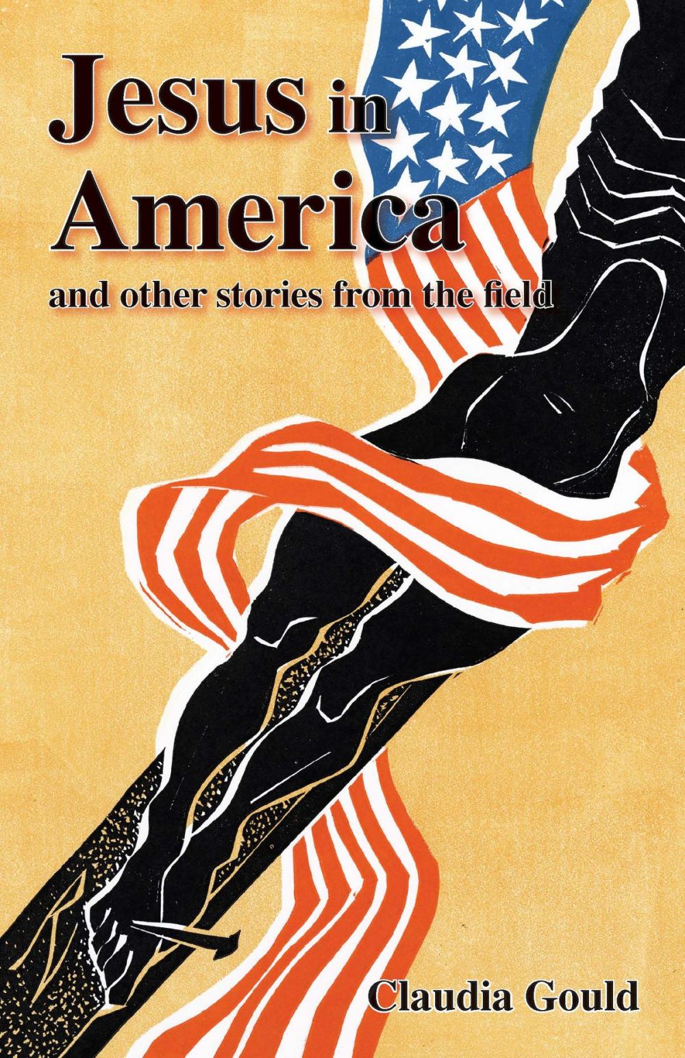 Big bigCover of Jesus in America and Other Stories from the Field