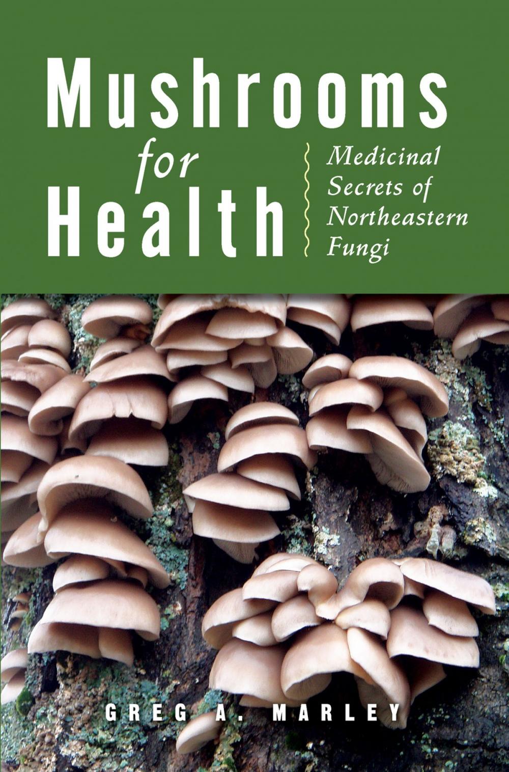 Big bigCover of Mushrooms for Health