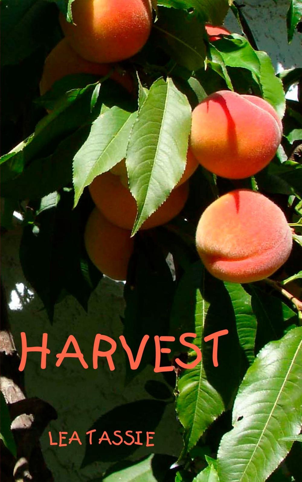 Big bigCover of Harvest