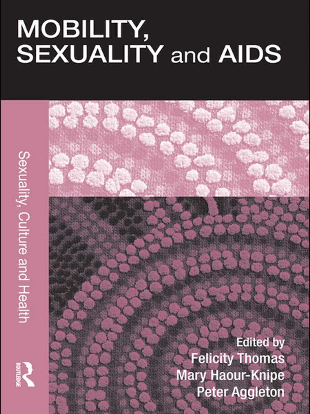 Big bigCover of Mobility, Sexuality and AIDS