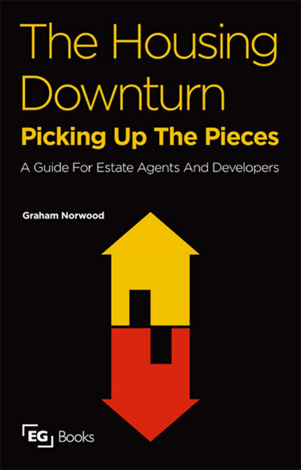 Big bigCover of The Housing Downturn