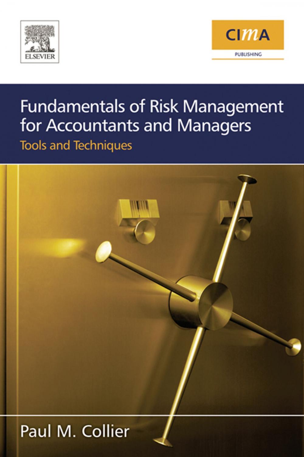 Big bigCover of Fundamentals of Risk Management for Accountants and Managers