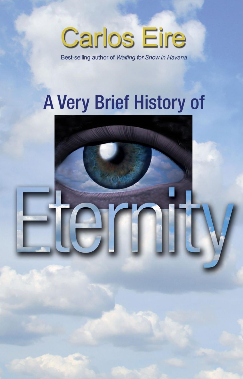 Big bigCover of A Very Brief History of Eternity