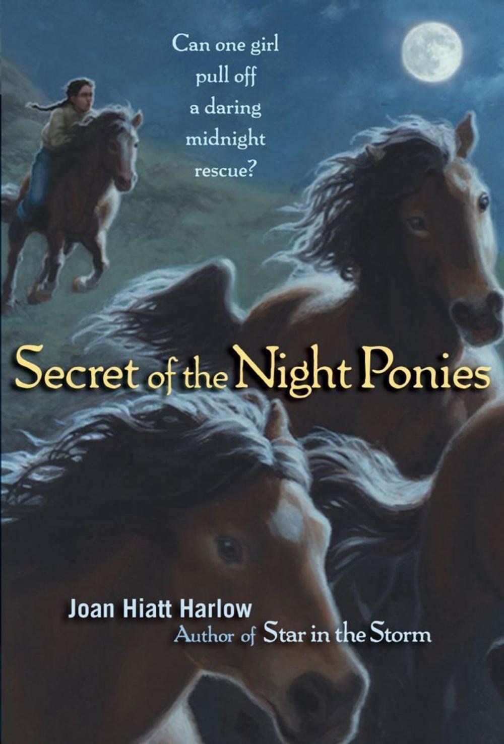 Big bigCover of Secret of the Night Ponies