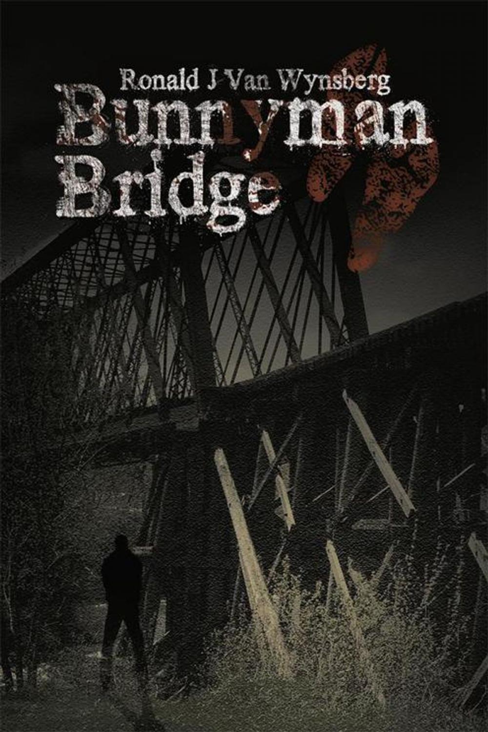 Big bigCover of Bunnyman Bridge