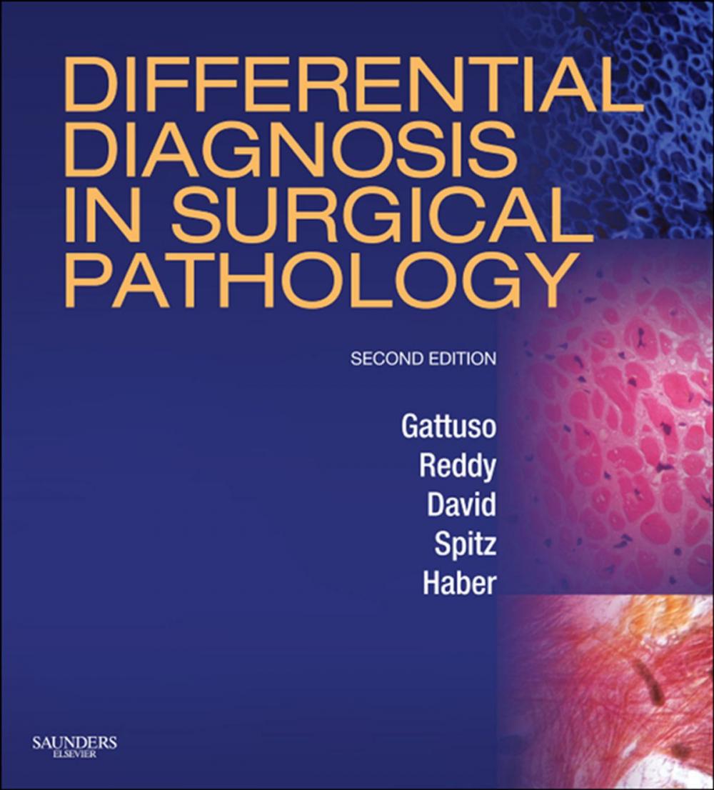 Big bigCover of Differential Diagnosis in Surgical Pathology E-Book