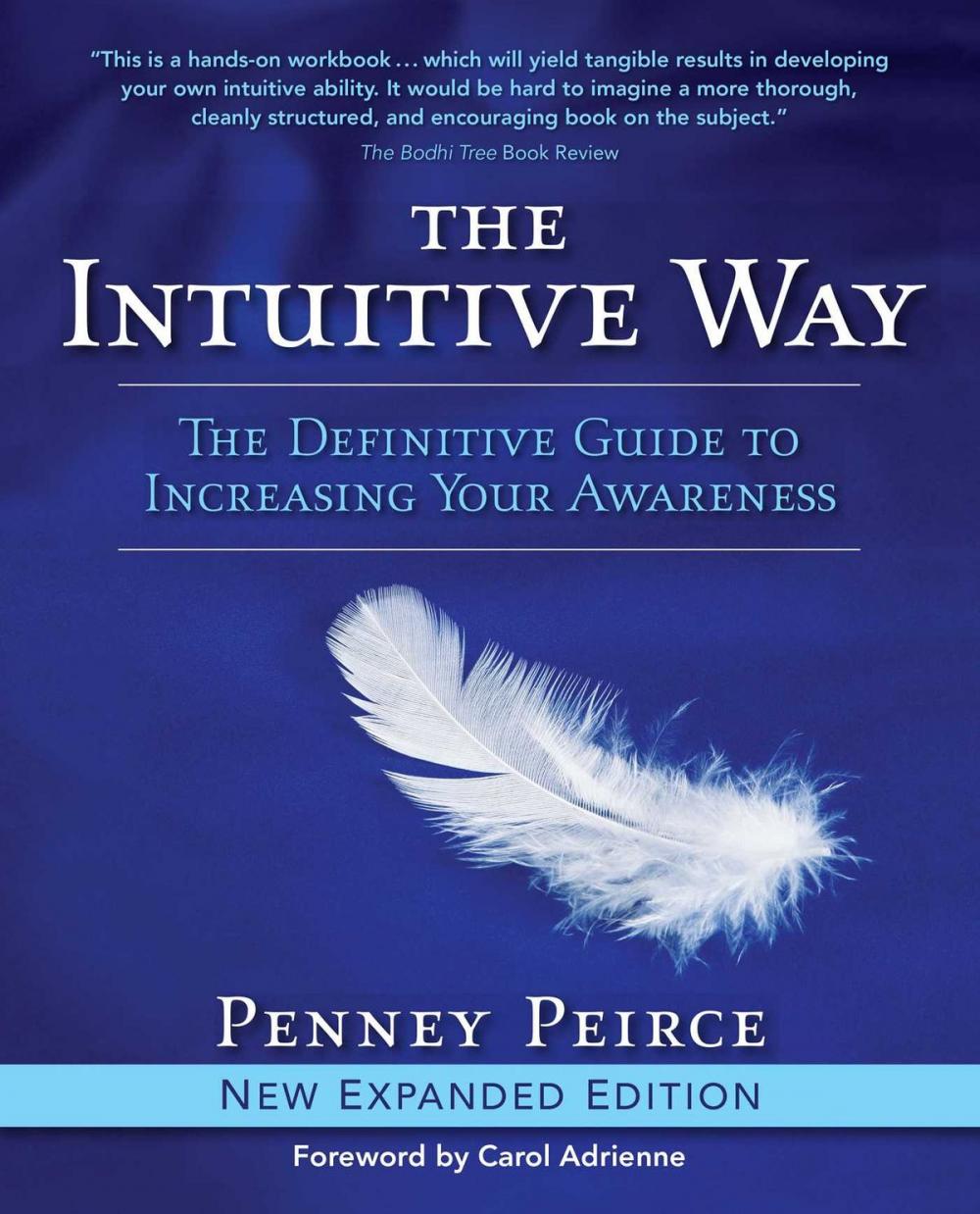 Big bigCover of The Intuitive Way