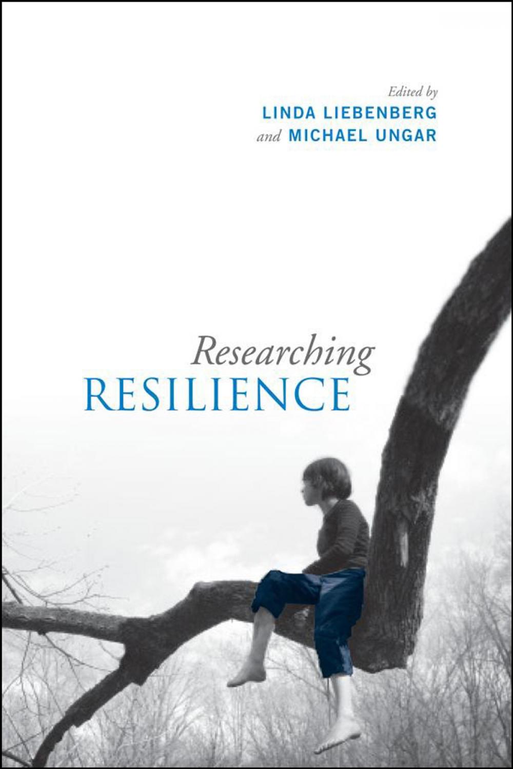 Big bigCover of Researching Resilience