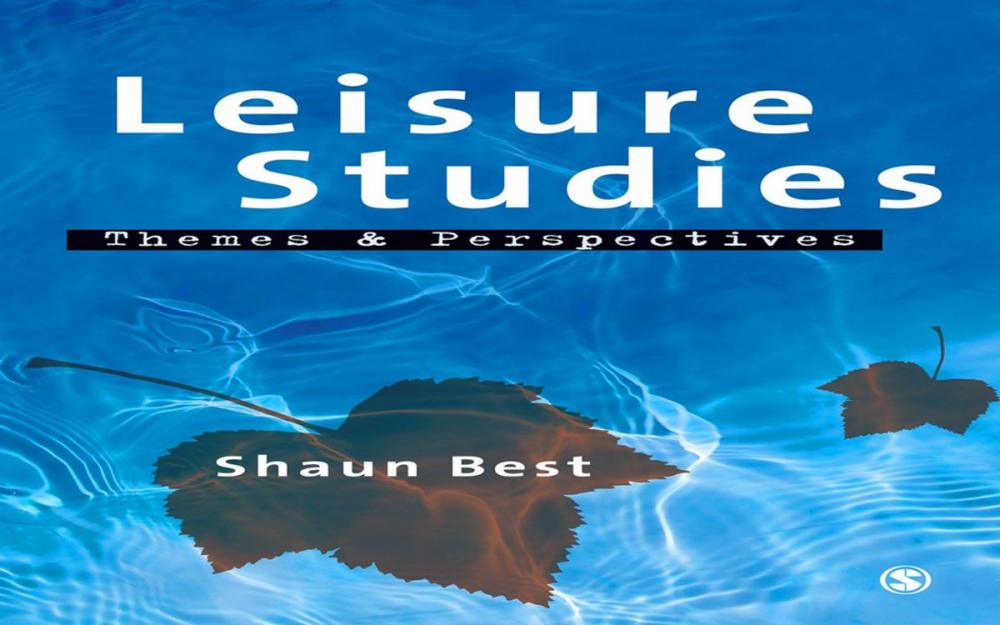 Big bigCover of Leisure Studies