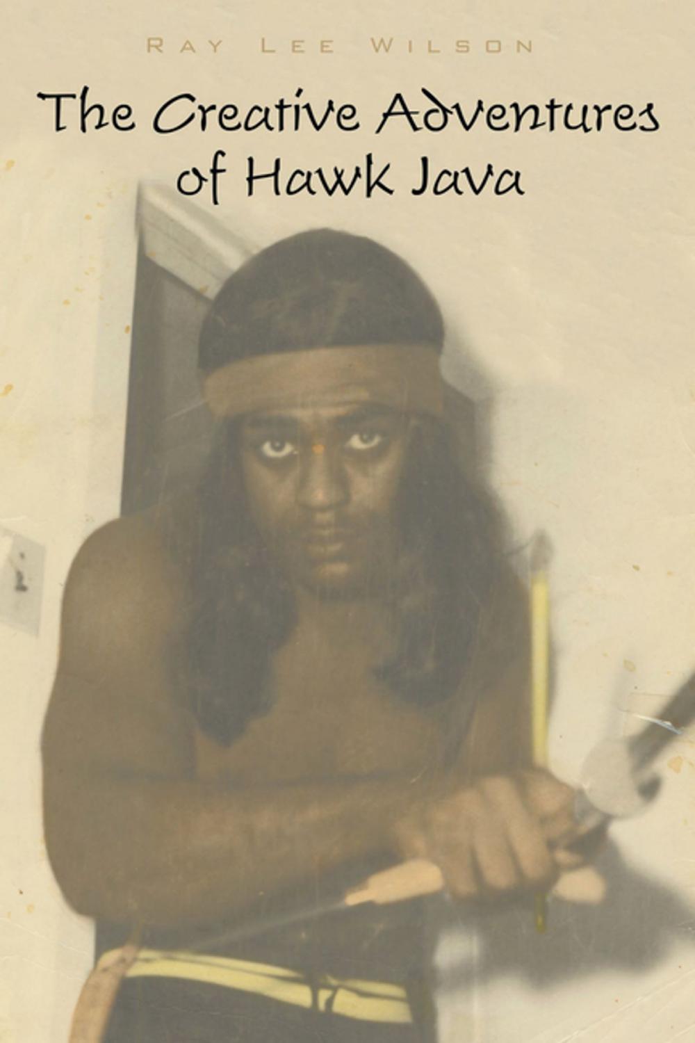 Big bigCover of The Creative Adventures of Hawk Java