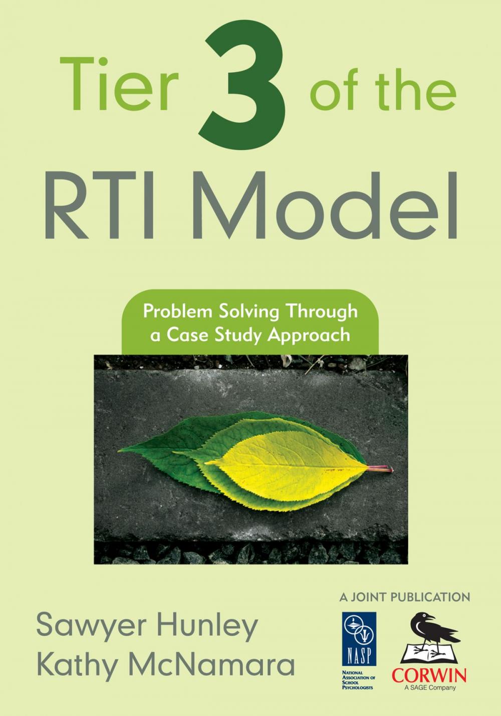 Big bigCover of Tier 3 of the RTI Model