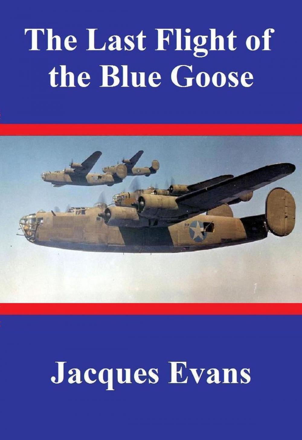 Big bigCover of The Last Flight of the Blue Goose