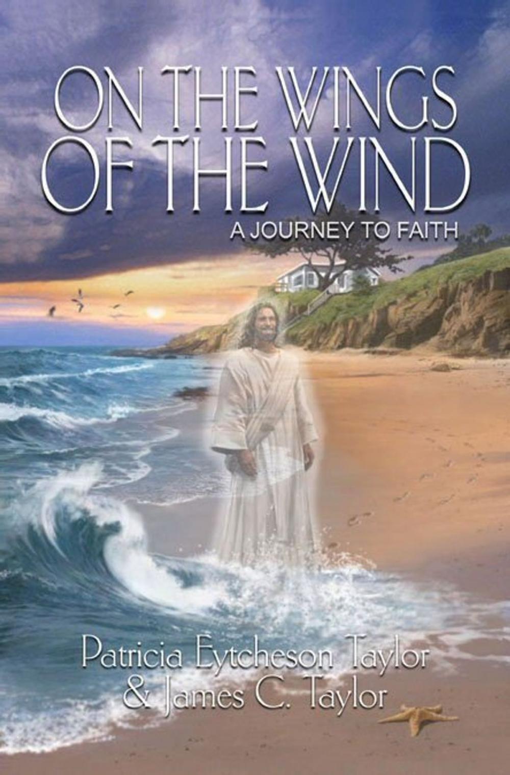 Big bigCover of On the Wings of the Wind: A Journey to Faith