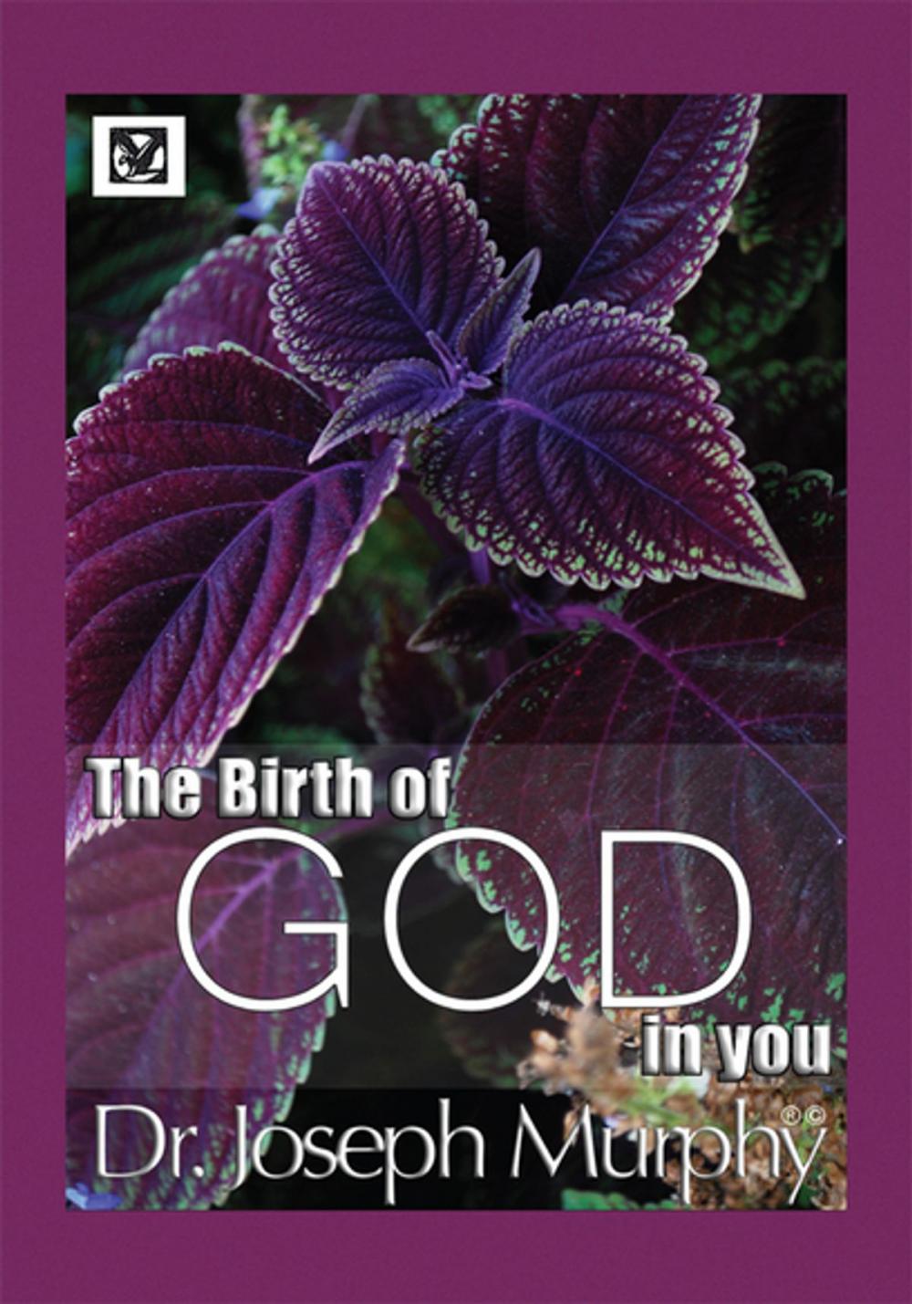 Big bigCover of The Birth of God in You