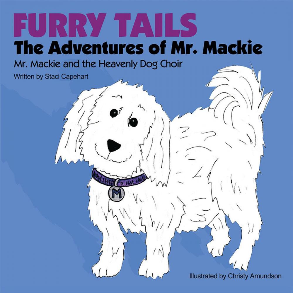 Big bigCover of Furry Tails: the Adventures of Mr. Mackie