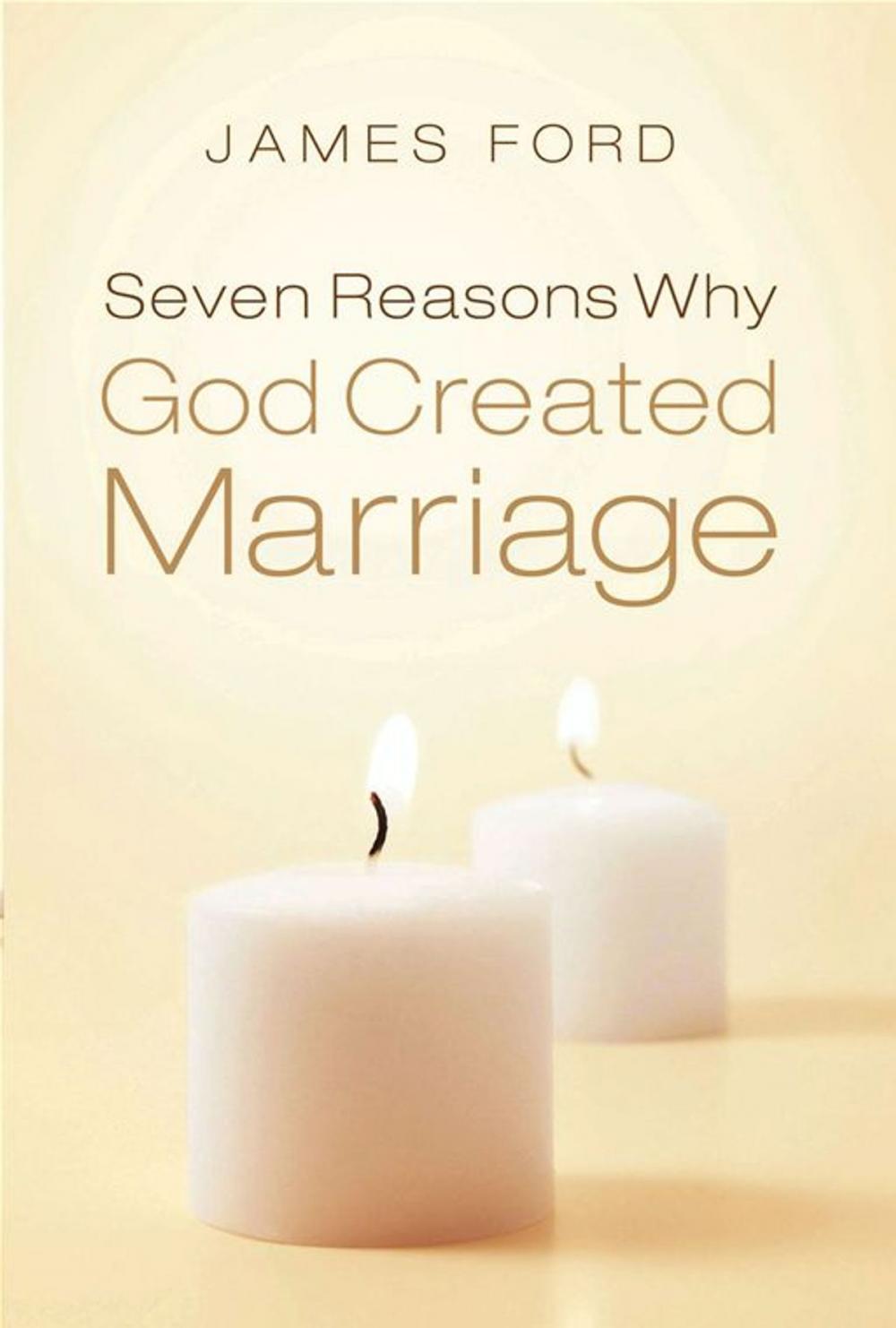 Big bigCover of Seven Reasons Why God Created Marriage