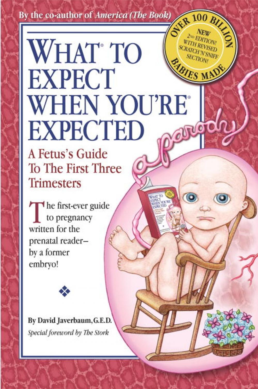 Big bigCover of What to Expect When You're Expected