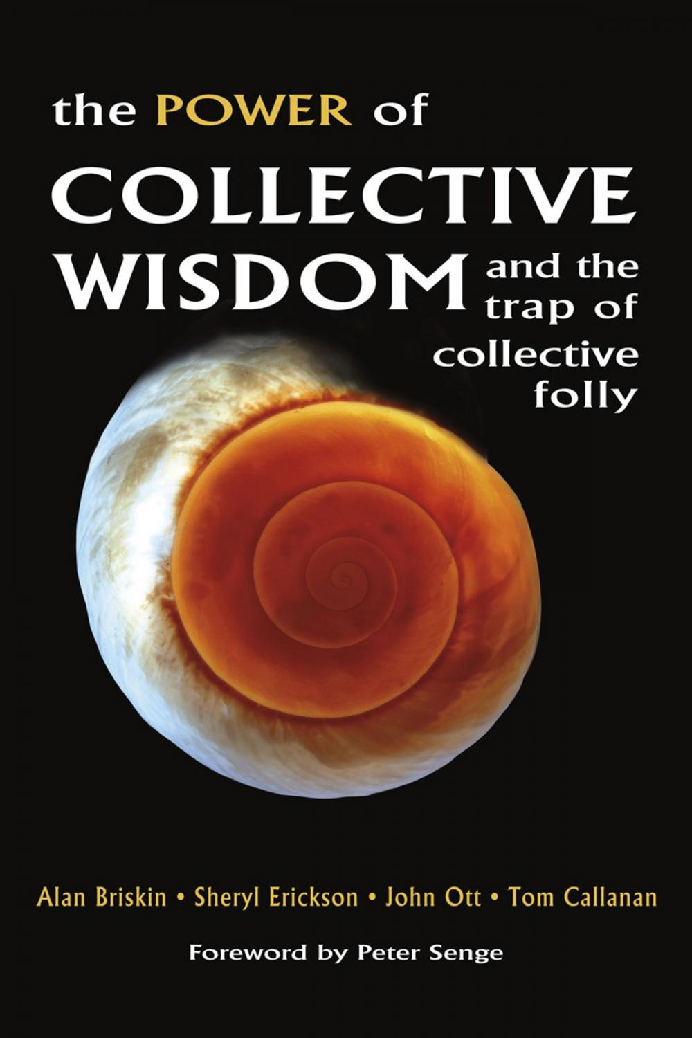 Big bigCover of The Power of Collective Wisdom