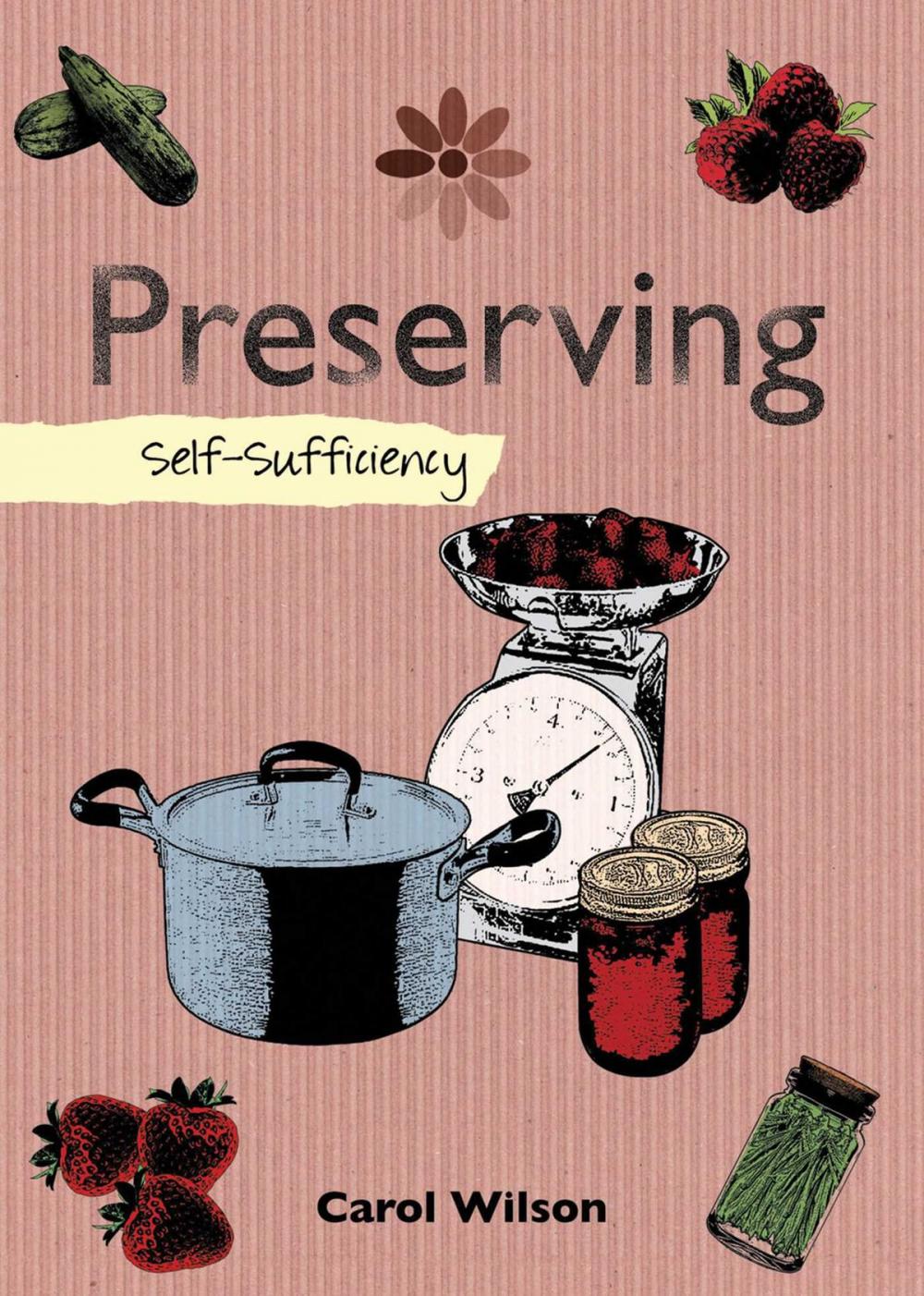 Big bigCover of Preserving