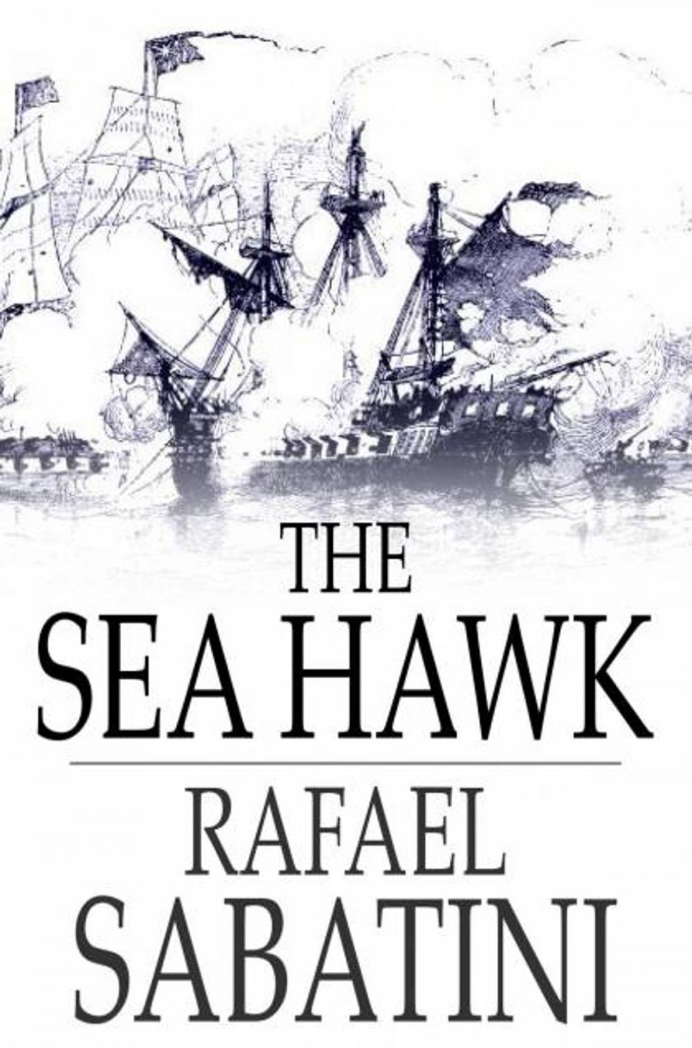 Big bigCover of The Sea Hawk