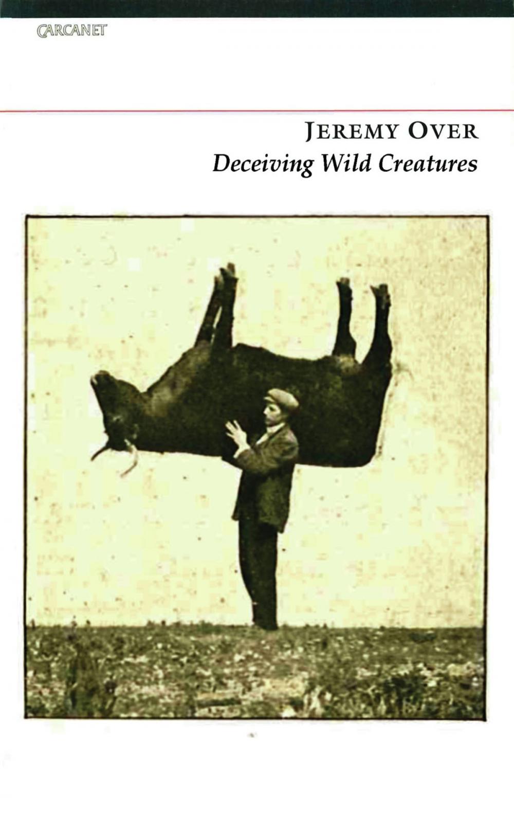 Big bigCover of Deceiving Wild Creatures