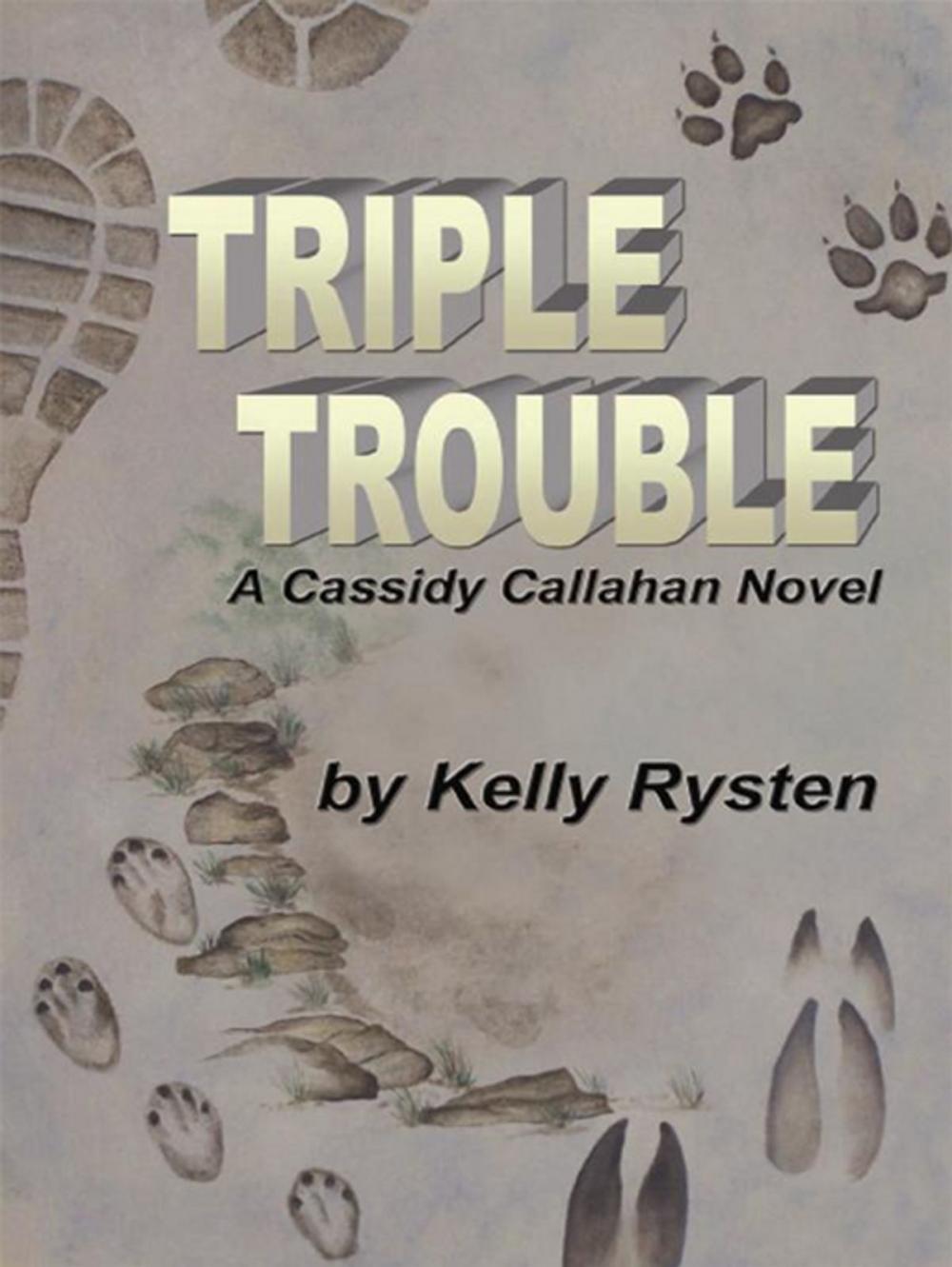 Big bigCover of Triple Trouble: A Cassidy Callahan Novel