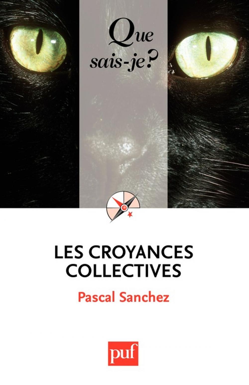 Big bigCover of Les croyances collectives