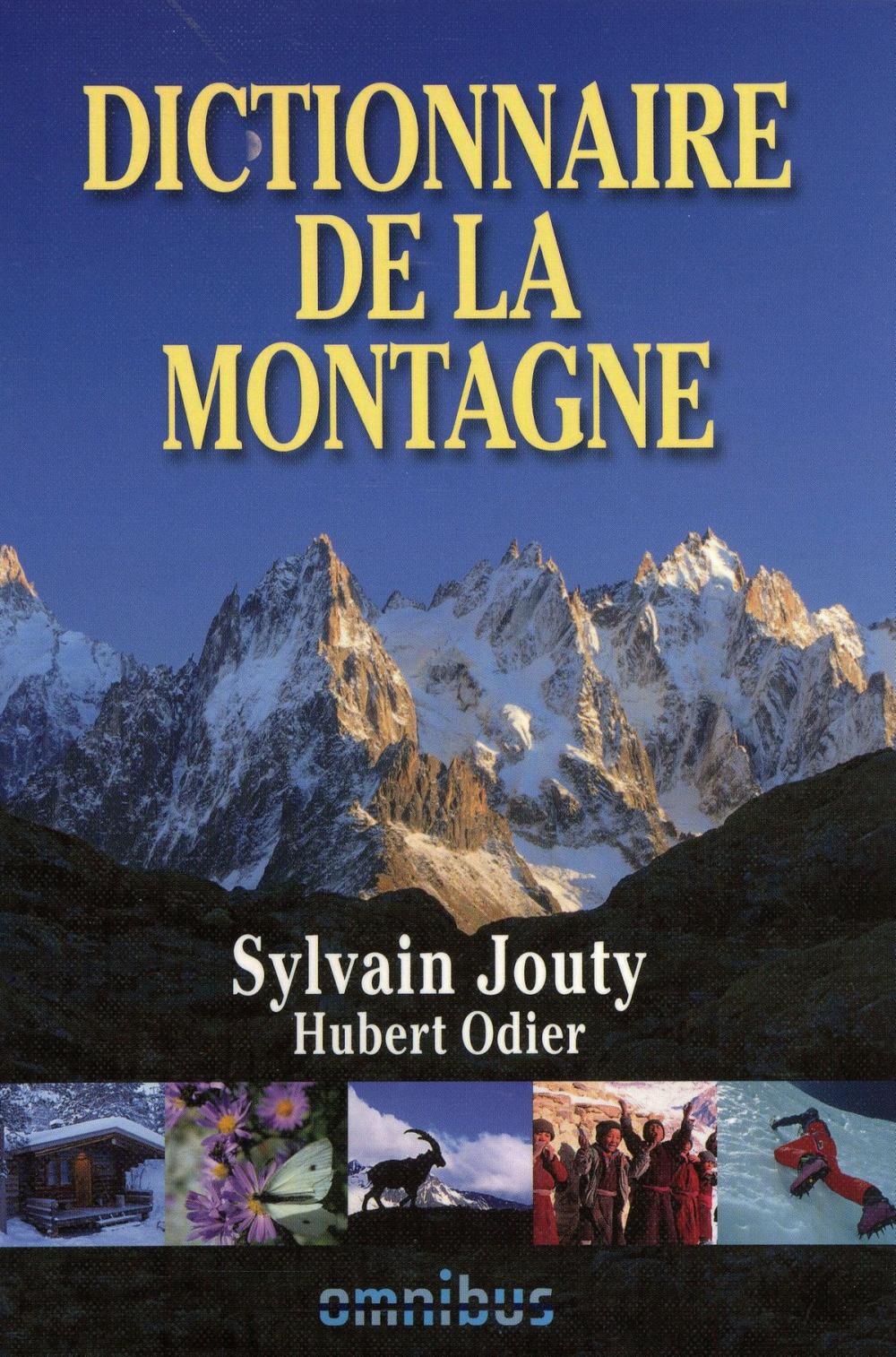 Big bigCover of Dictionnaire de la montagne