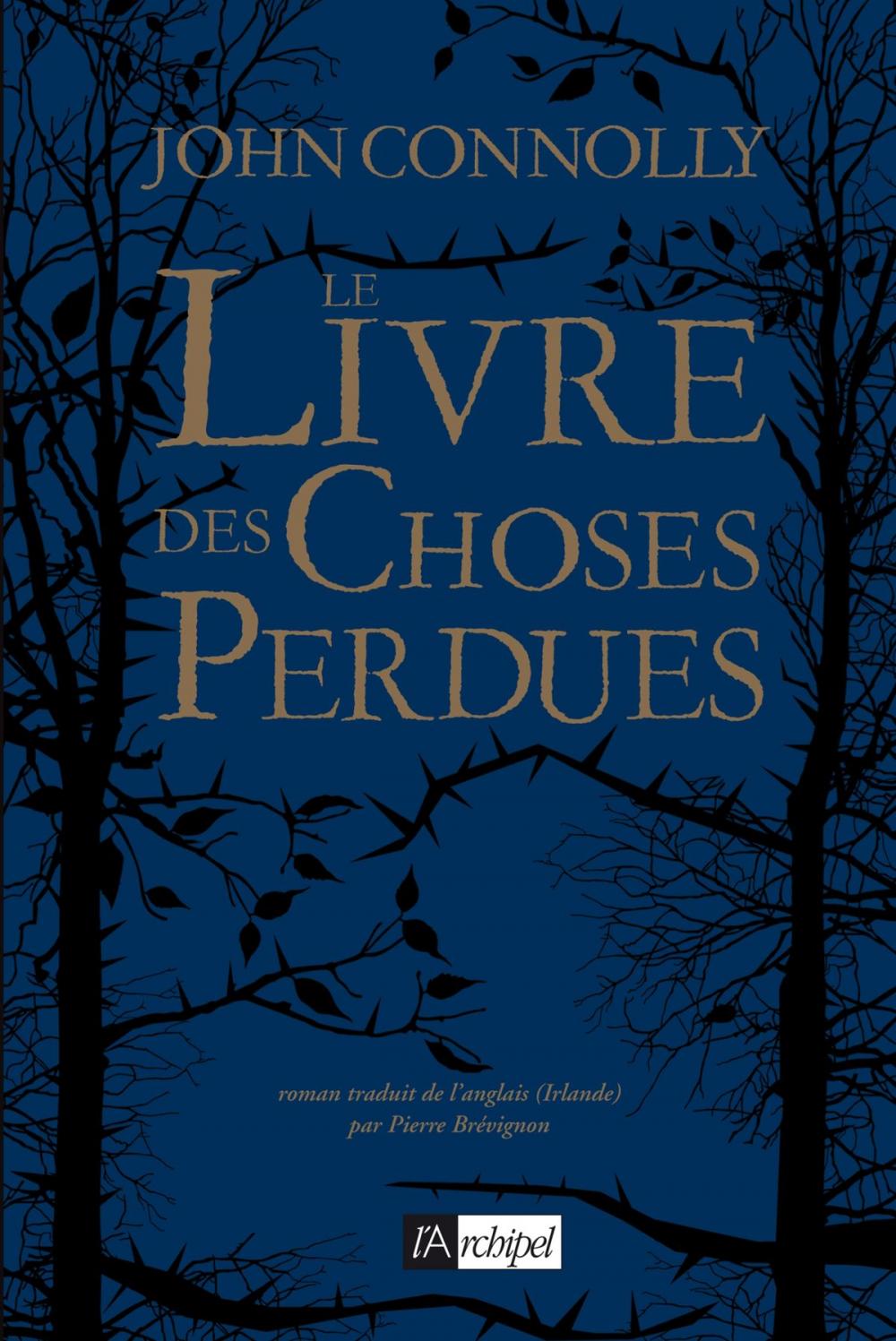 Big bigCover of Le livre des choses perdues