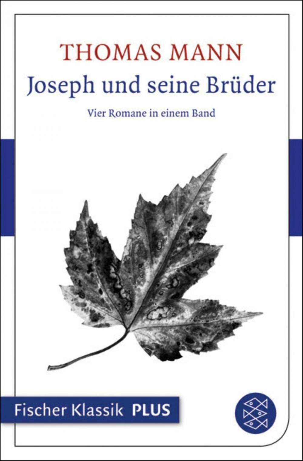 Big bigCover of Joseph und seine Brüder