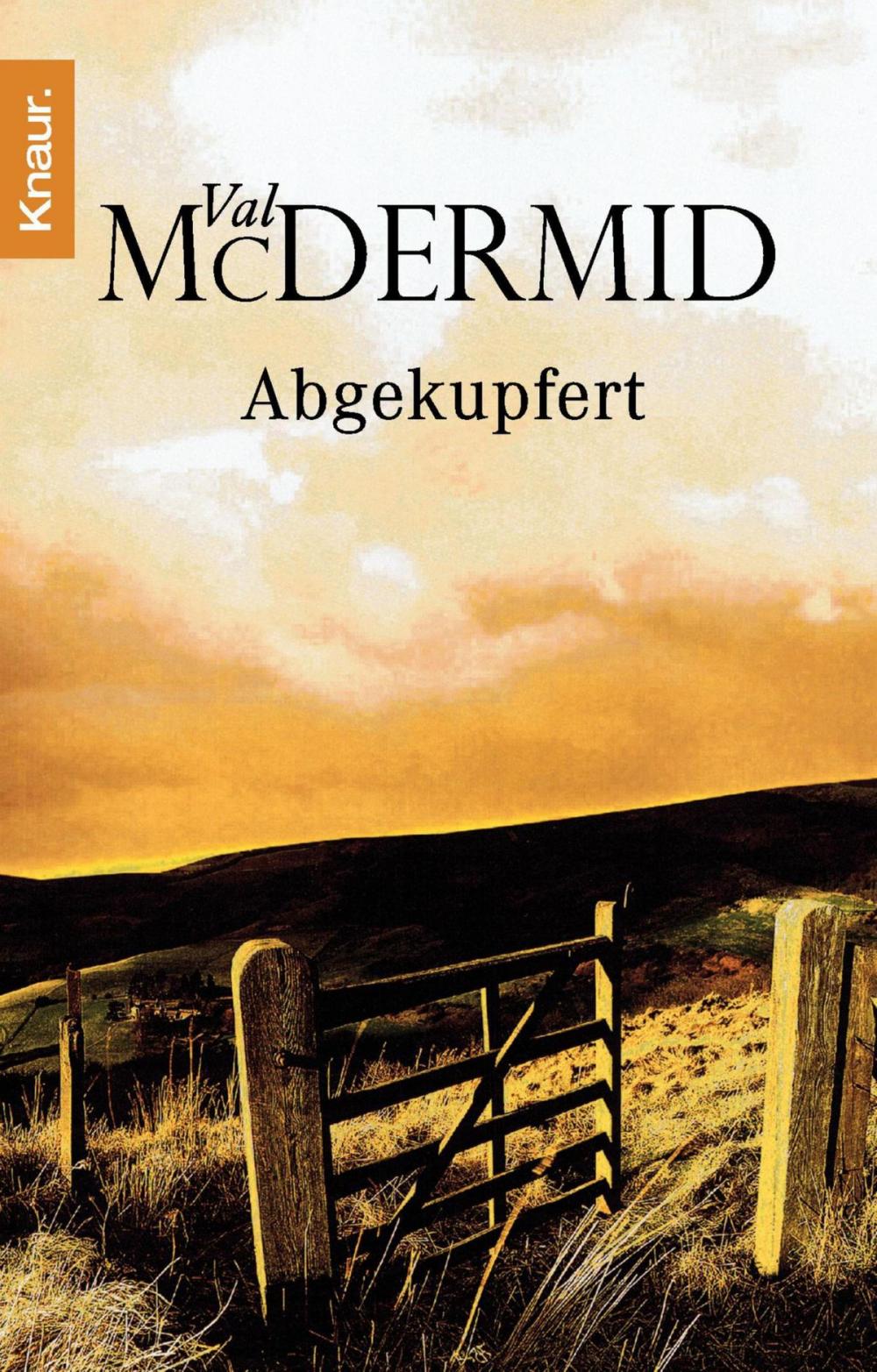 Big bigCover of Abgekupfert