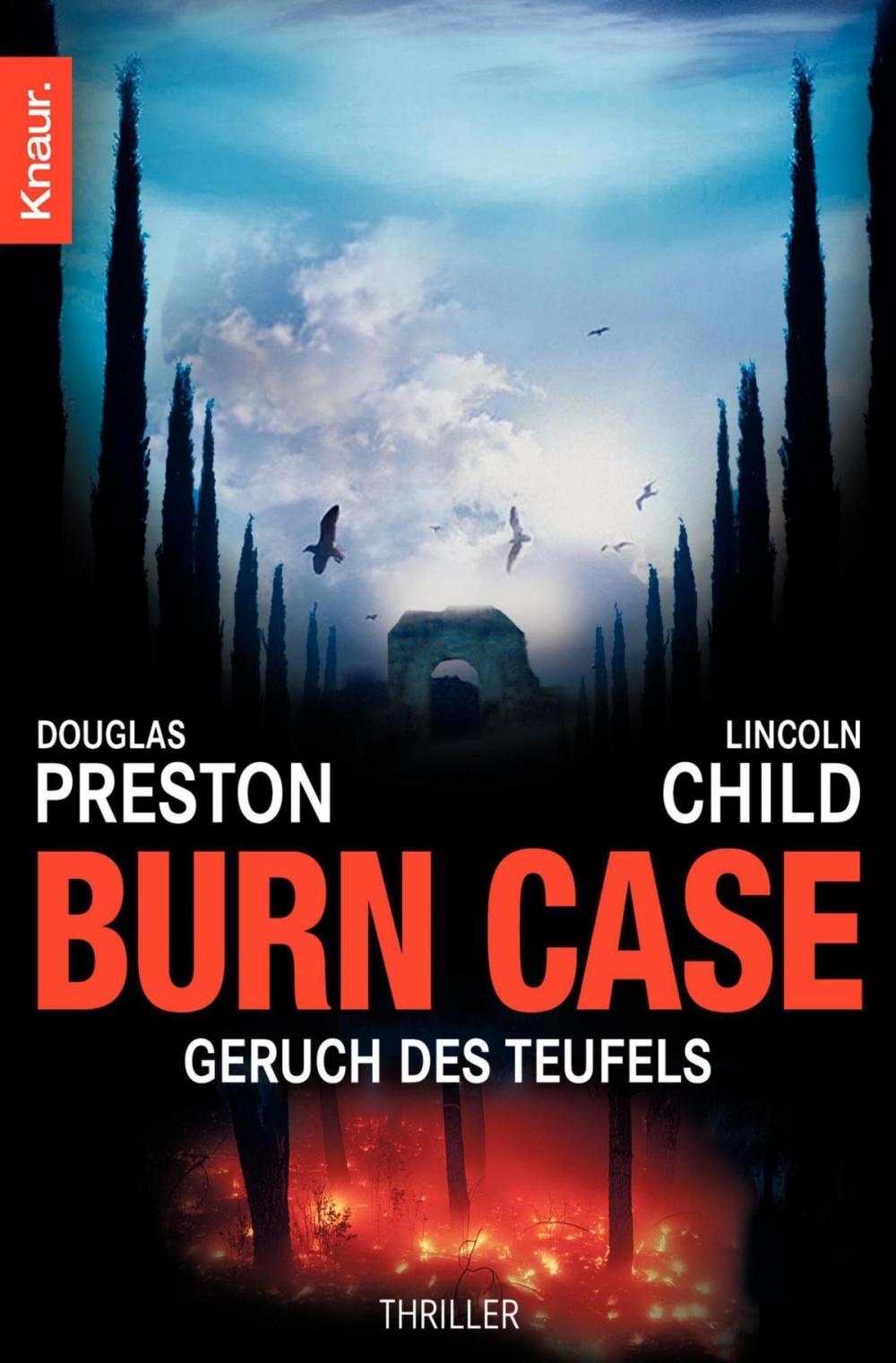 Big bigCover of Burn Case