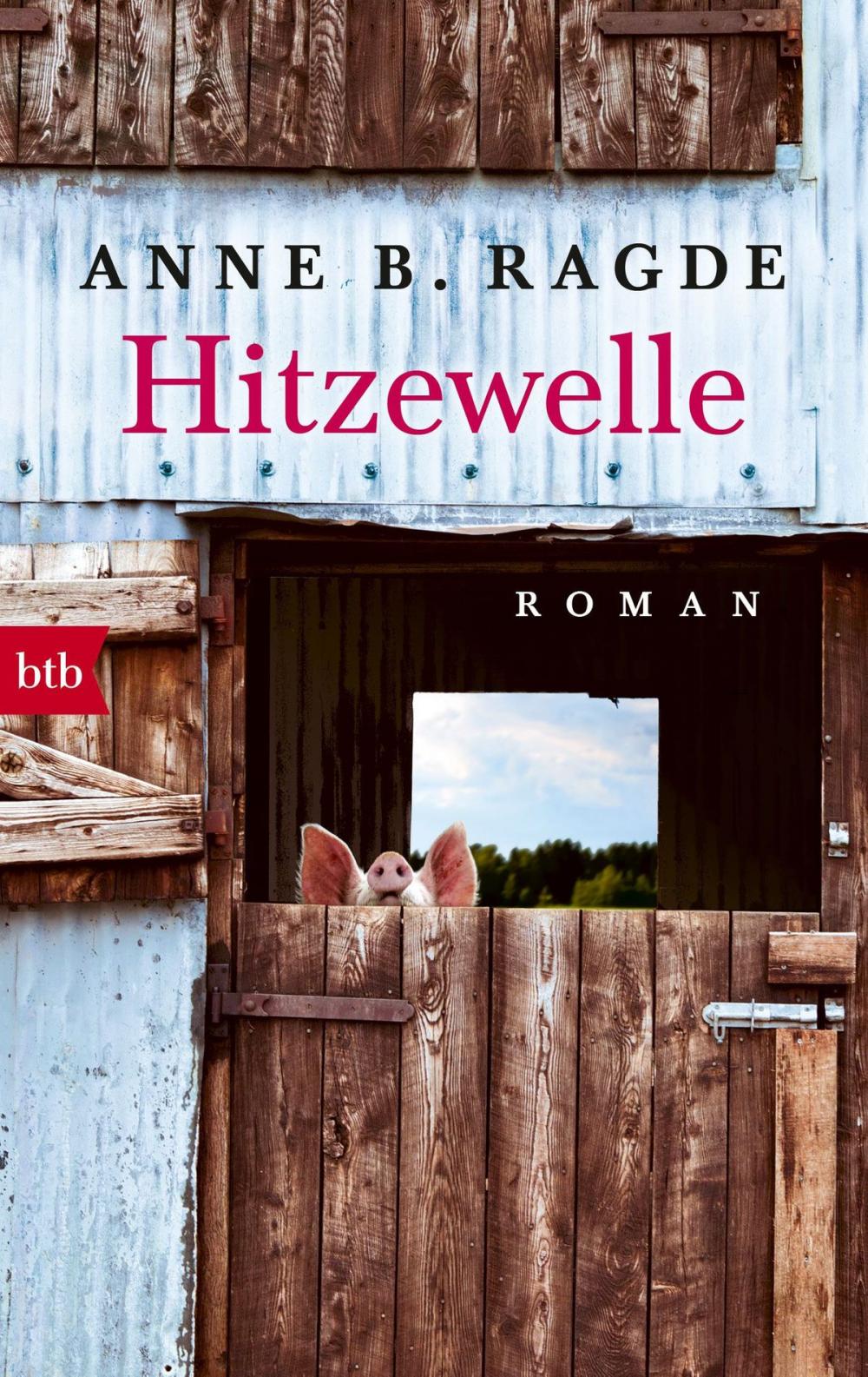 Big bigCover of Hitzewelle