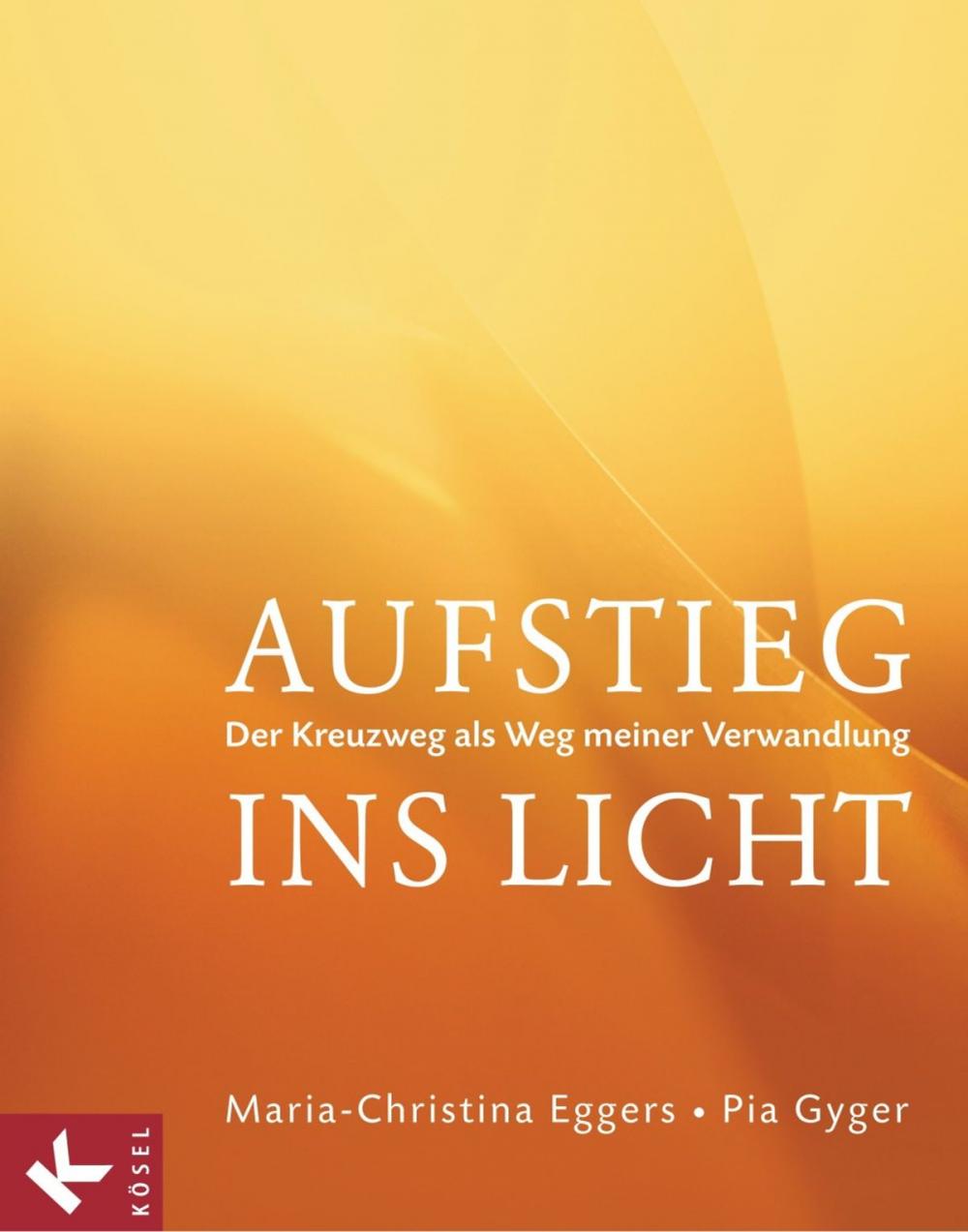 Big bigCover of Aufstieg ins Licht