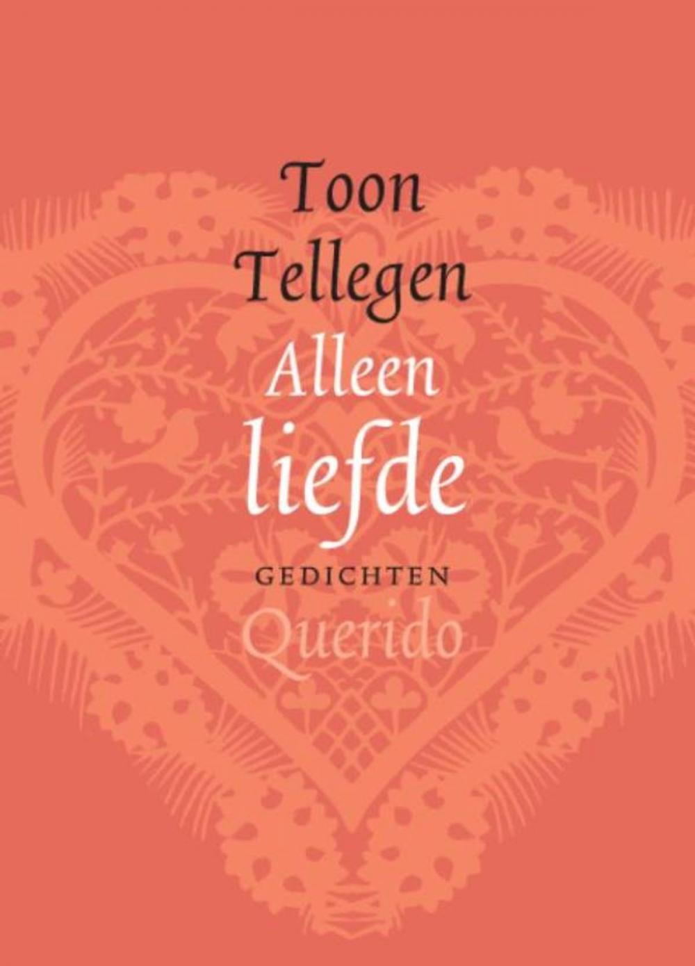 Big bigCover of Alleen liefde